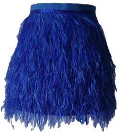 Queen Of Sparkles Royal Feather Skirt